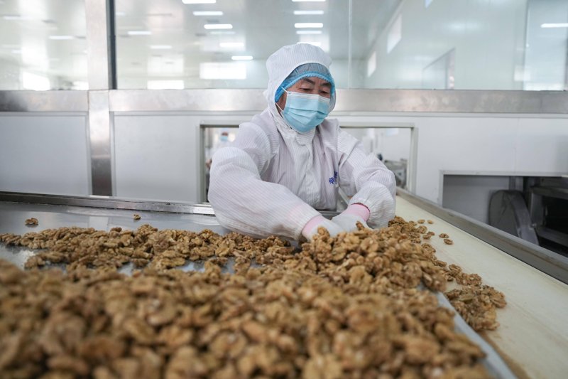 教育软件开发引领未来学习潮流